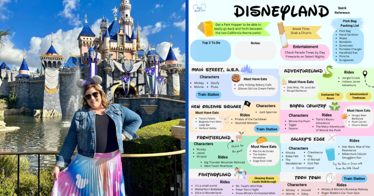 Disneyland Theme Park Quick Reference Guides