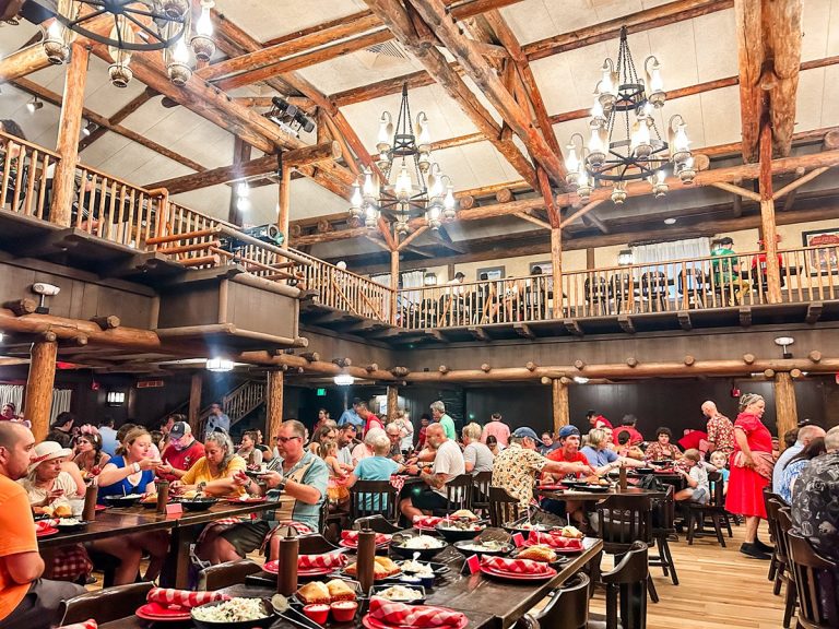 HoopDeeDoo Musical Revue Disney Dining Reviews Moms with Mouse Ears