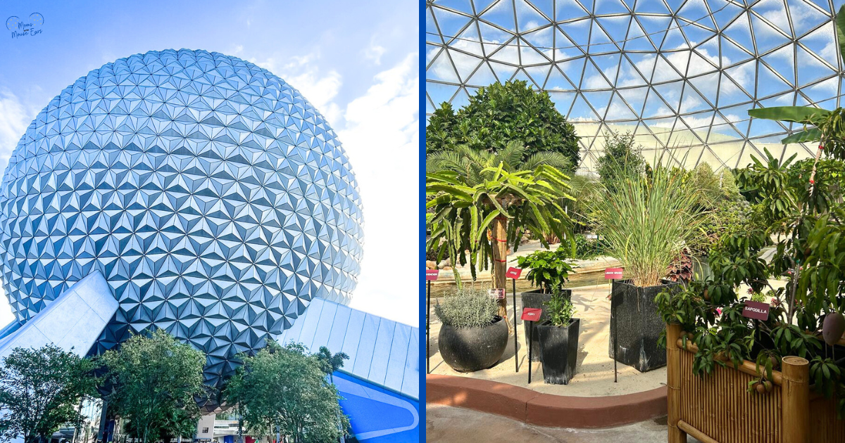 Behind the Seeds Tour at EPCOT Review - Moms with Mouse Ears