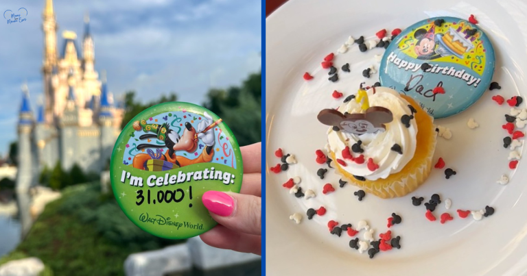 celebrating a special day at disney