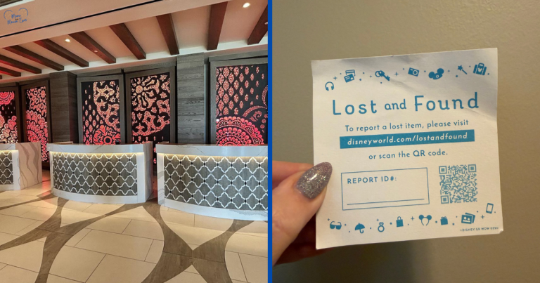 Lost and Found Items Process at Disney World
