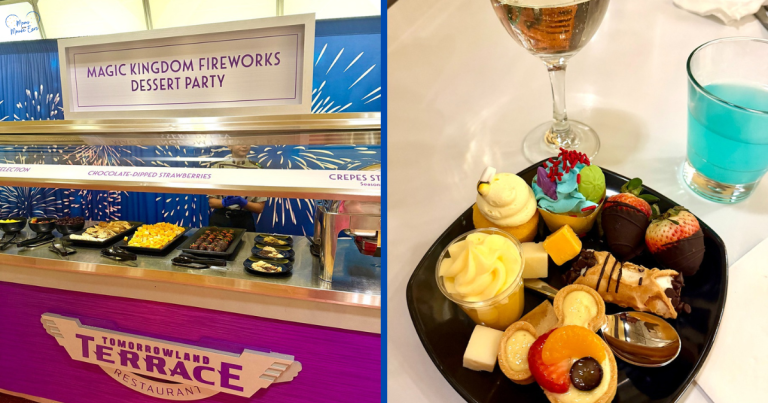 Magic Kingdom Fireworks Dessert Party Review