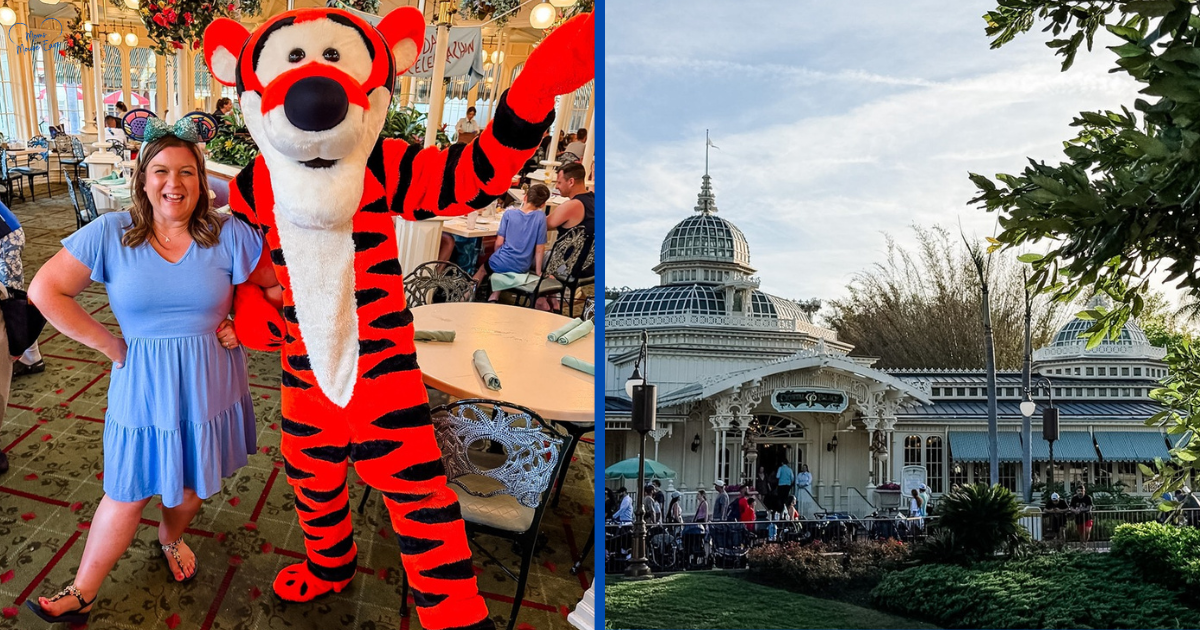 The Crystal Palace Dinner Review | Character Dining at Magic Kingdom