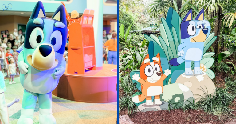 Featured Bluey's Wild World at Disney's Animal Kingdom
