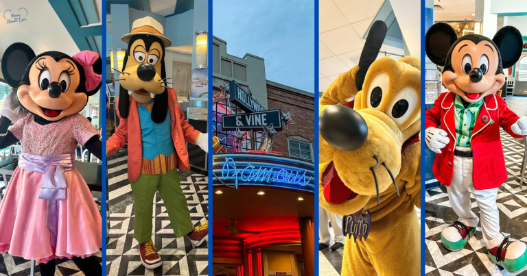 Minnie’s Seasonal Dine at Hollywood & Vine Outfits by Season