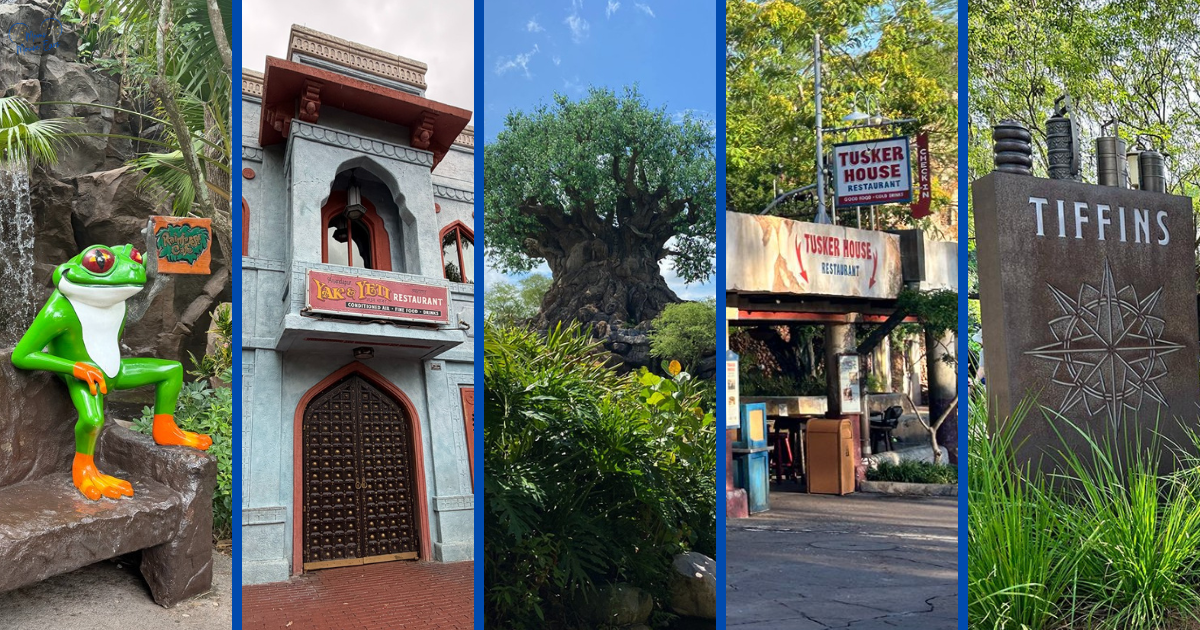 Table Service Restaurants at Animal Kingdom